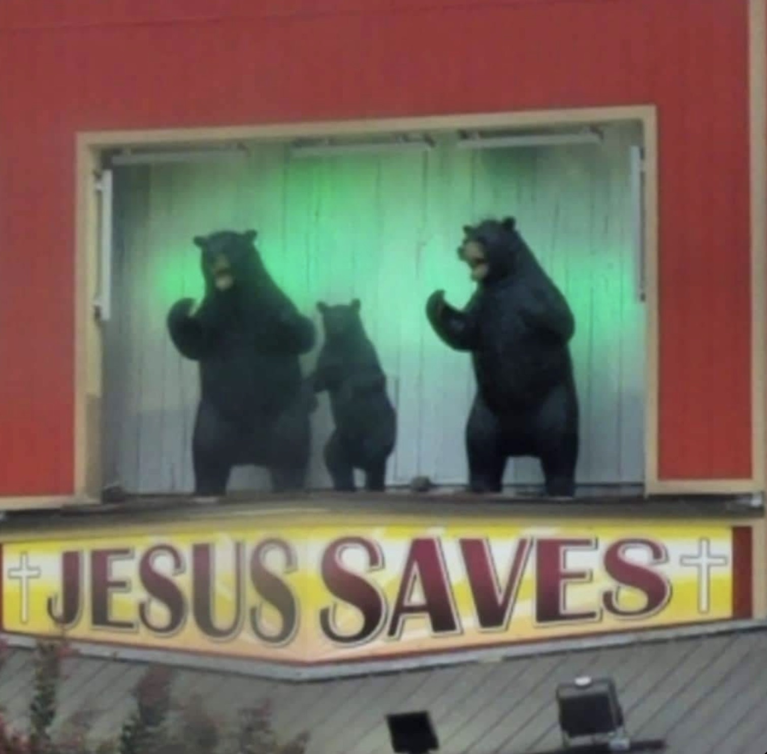 american black bear - Jesus Saves